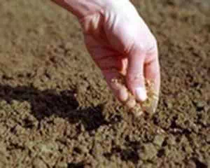 Почва без перекопки, полезные советы