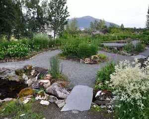 Арктическо-альпийский ботанический сад, (Норвегия, Тромсё)