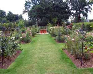 Сад роз Дэвида Остина, (Англия, Wolverhampton, West Midlands)