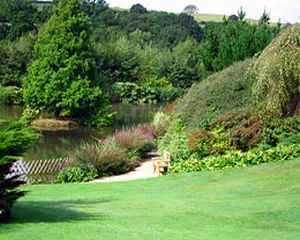 Сад Lady Farm, (Англия, Chelwood, Somerset)