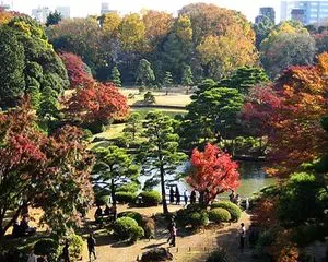 Сады Рикуген, Токио