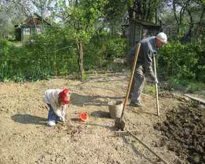 Весенние работы в саду, в помощь садоводу