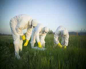 Какой пестицид эффективнее? Нужные средства
