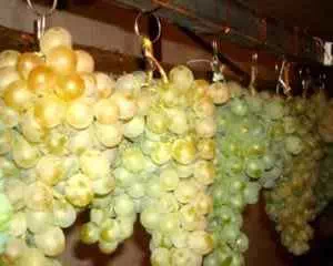 Правильное хранение винограда, полезные советы
