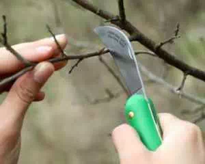 Обрезка садовым ножом, нужный инструмент
