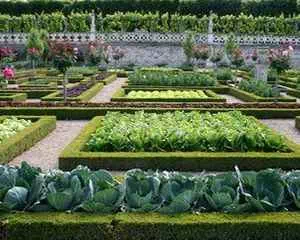 Сады замка Вилландри, (Франция, Эндр-и-Луара)