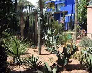 Сад Мажорель, (Марокко, Марракеш)