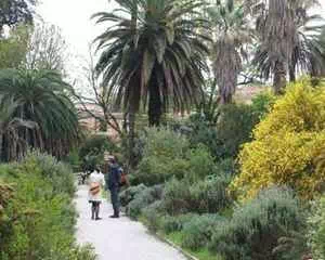Ботанический сад Рима, (Италия, Рим)