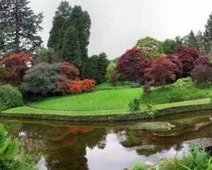 Сады Маунт Ашер, (Ирландия, графство Уиклоу, Ashford)