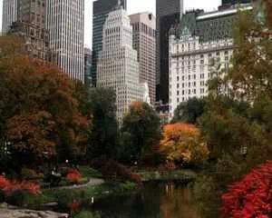 Центральный парк в Нью-Йорке, красивые места мира