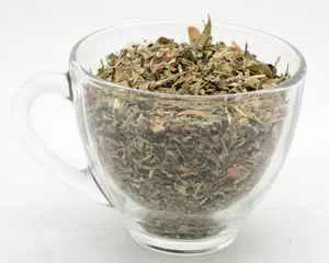 Почечный чай, лекарственное растение