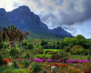 Ботанический сад Кирстенбош, ЮАР, Кейптаун